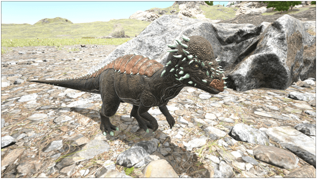 Ark Pachysaurus