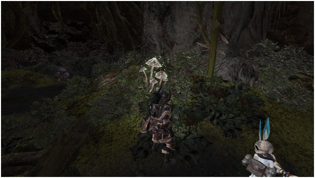 Fungal Flexin' in the Ancient Forest mhw optional quest