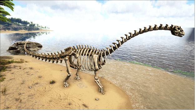 Skeletal Brontosaurus